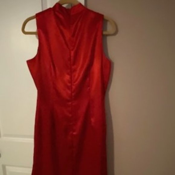 Gorgeous Red Holiday Dress - Picture 4 of 4